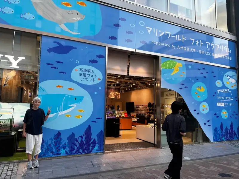 Sony × マリンワールド